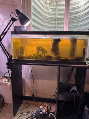 Sci-fi 20 gallon long tank